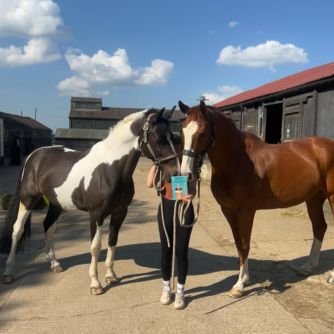 Two rescued horses in the yard