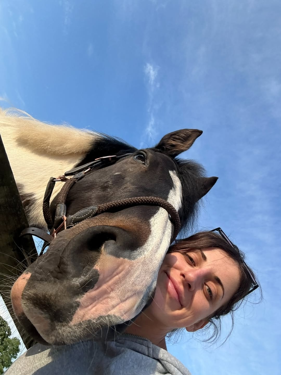 Horse and caretaker selfie